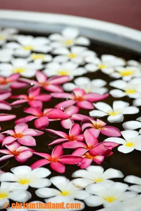 Destination: Erawan — the museum, the peaceful park, and the gigantic three-headed elephant (Samut Prakan, Thailand) - Thailand -