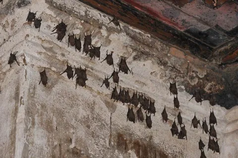 Destination: Phra Prang Sam Yod — an ancient temple overrun by monkeys (Lopburi, Thailand) Destination: Phra Prang Sam Yod — an ancient temple overrun by monkeys (Lopburi, Thailand) - Thailand -