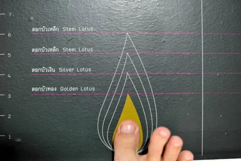 Destination: Museum of Siam and the Body Project — a normal enough museum with an oddball exhibit… - Thailand -