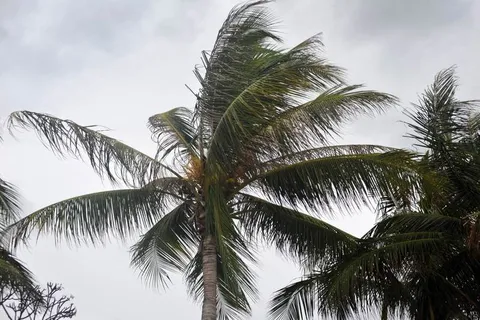 Destination: Puek Tian Beach — a naked ascetic, a dragon ridden like a horse, and a six-meter-tall she-demon (Phetchaburi, Thailand) Destination: Puek Tian Beach — a naked ascetic, a dragon ridden like a horse, and a six-meter-tall she-demon (Phetchaburi, Thailand) - Thailand -