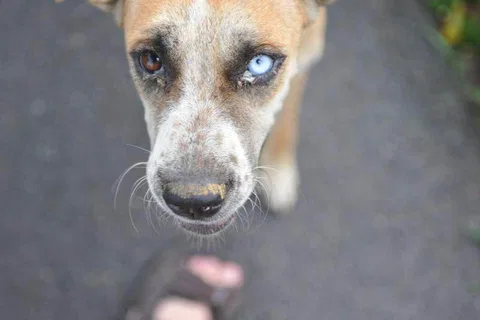 Destination: the House of Museums — a look back to Thailand’s yesteryear (outskirts of Bangkok, Thailand) - Thailand -