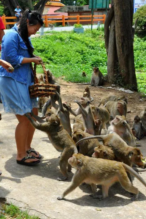 Destination: Wat Kai — the only hell temple with monkeys around - Ayutthaya, Thailand (NSFW) Destination: Wat Kai — the only hell temple with monkeys around - Ayutthaya, Thailand (NSFW) - Thailand -