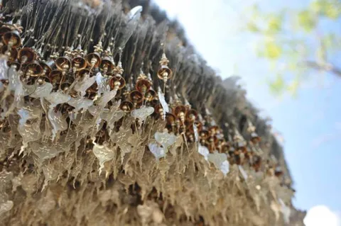 Destination: the White Temple — a shiny, artistic take on Buddhist beliefs Destination: the White Temple — a shiny, artistic take on Buddhist beliefs - Thailand -