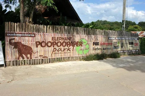 Destination: the park where paper is made from elephant poo Destination: the park where paper is made from elephant poo - Thailand -