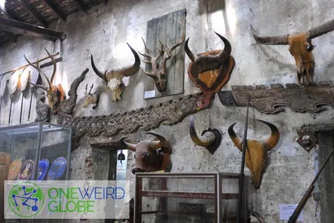 Destination: Wat Ket — the temple where the bizarre museum tells the history (Chiang Mai, Thailand) - Thailand -