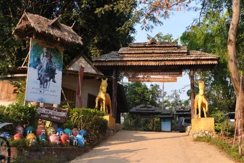 Destination: the Buddhist temple with horses… and a boxing ring? (Northern Thailand) - Thailand -