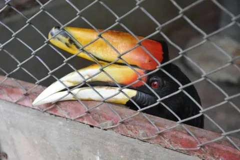 Destination: Phitsanulok: an excellent trifecta of history, Buddhas, and birds - Thailand -