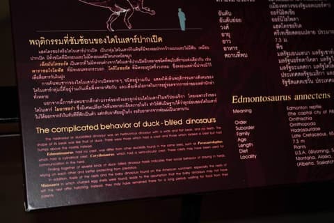 Destination: Sirindhorn Museum — an awesome dinosaur museum (Non Buri, Thailand) - Thailand -