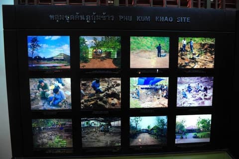 Destination: Sirindhorn Museum — an awesome dinosaur museum (Non Buri, Thailand) - Thailand -