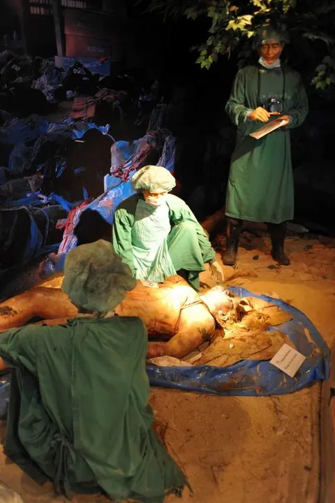 Destination: Siriraj Medical Museum — some awesome gruesomeness (NSFW) (Bangkok, Thailand) - Thailand -