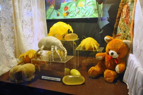 Destination: Siriraj Medical Museum — some awesome gruesomeness (NSFW) (Bangkok, Thailand) - Thailand -