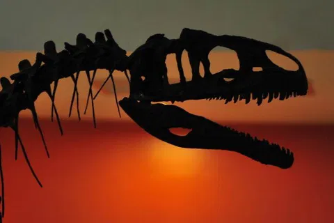 Destination: Nakhon Ratchasima Petrified Wood Museum (Thailand) - Thailand -