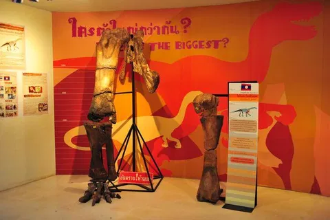 Destination: Nakhon Ratchasima Petrified Wood Museum (Thailand) - Thailand -