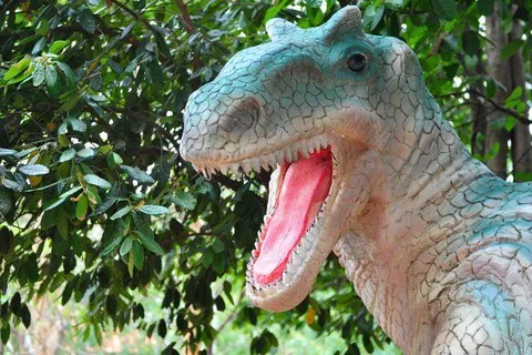 Destination: Nakhon Ratchasima Petrified Wood Museum (Thailand) - Thailand -