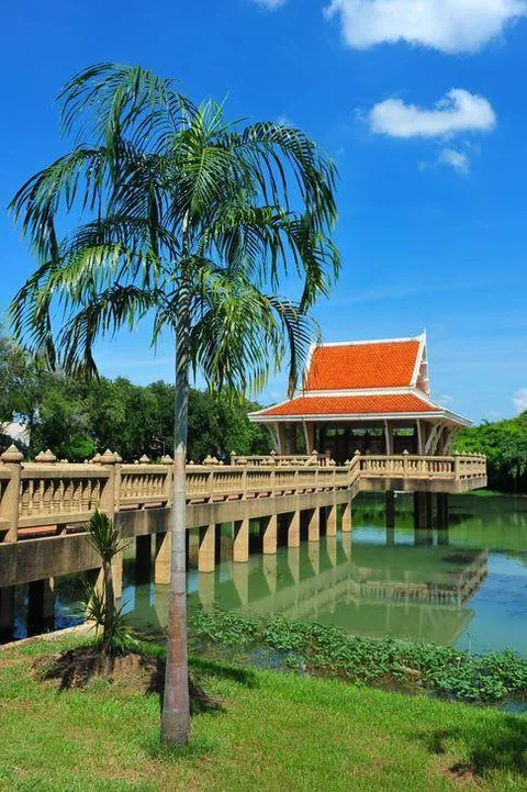 Sai Ngam — the creepiest-looking forest with 10,000 trees — Nakhon Ratchasima, Thailand - Thailand -