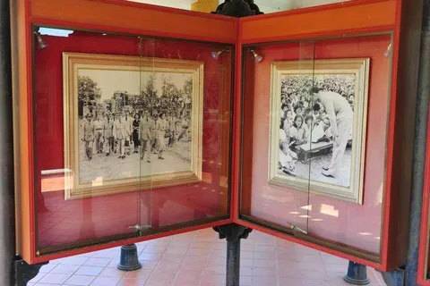 Sai Ngam — the creepiest-looking forest with 10,000 trees — Nakhon Ratchasima, Thailand - Thailand -