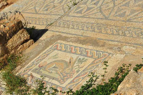 Destination: the OTHER Roman coliseum and a secret surprise (El Jem, Tunisia) - Tunisia -