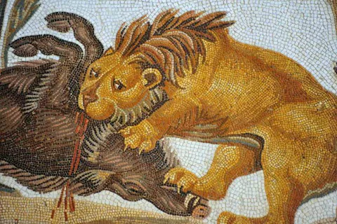 Destination: the OTHER Roman coliseum and a secret surprise (El Jem, Tunisia) - Tunisia -