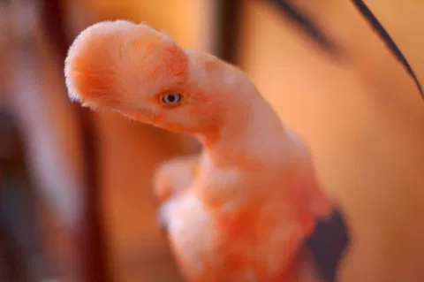 Destination: Monasterio de la Recoleta (Arequipa, Peru) – the most random, bizarre monastery around - Peru -