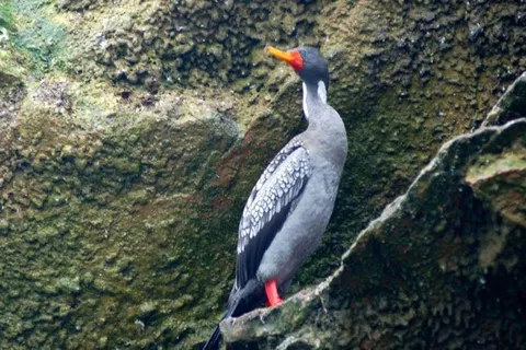 Where To Go Instead: 9 Famous Places and their Better Alternatives - Egypt, Italy, Peru, South Korea, Spain, Thailand, Tunisia -