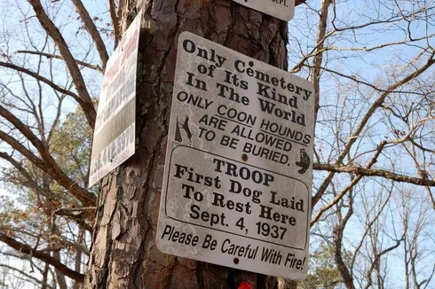 Destination: the World’s Only Coon Dog Cemetery (Alabama, USA) - United States -