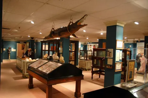Destination: the eclectic ‘Smithsonian of the South’ (Florida, United States) - United States -