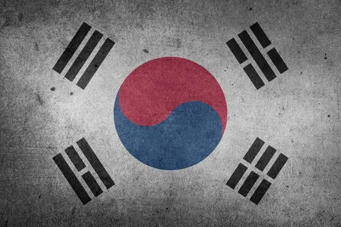 You Know Korea Is Your Home When… the compilation