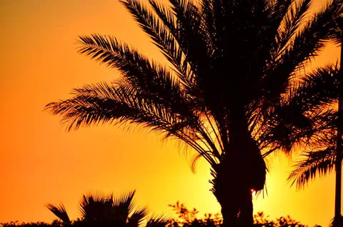 11 Travel Tips on my 11th Traveling Anniversary - Travel Tips - travel tips