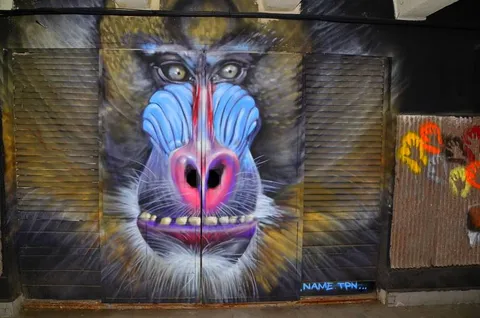 Tbilisi, Georgia, in street art Tbilisi, Georgia, in street art - Georgia - street art