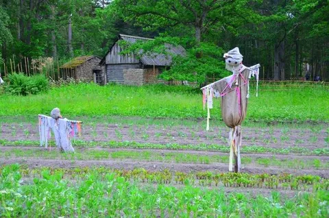 Destination: the Estonian Open Air Museum and the Midsummer Day Festival (Tallinn, Estonia) Destination: the Estonian Open Air Museum and the Midsummer Day Festival (Tallinn, Estonia) - Estonia, Festivals - Estonian Open Air Museum