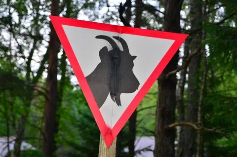 Destination: the Estonian Open Air Museum and the Midsummer Day Festival (Tallinn, Estonia) Destination: the Estonian Open Air Museum and the Midsummer Day Festival (Tallinn, Estonia) - Estonia, Festivals - Estonian Open Air Museum