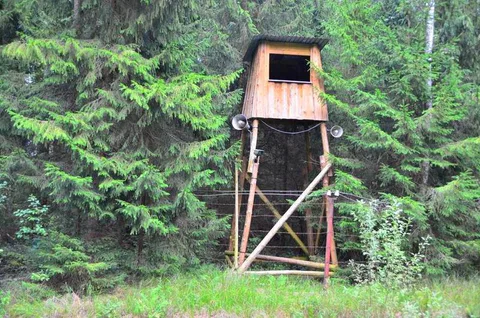 Destination: four of the weirdest places in Lithuania - Lithuania - lithuania