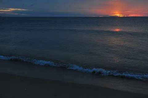 A clowder of cats and a pack of dogs — Destination: Ko Lanta Animal Welfare Centre (Thailand) - Thailand -