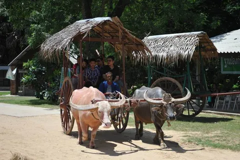 Destination: Suphanburi, Thailand: Buddhist temples, buffalo, a tall tower, and Chinese dragons (NSFW) - Thailand -