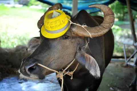 Destination: Suphanburi, Thailand: Buddhist temples, buffalo, a tall tower, and Chinese dragons (NSFW) - Thailand -